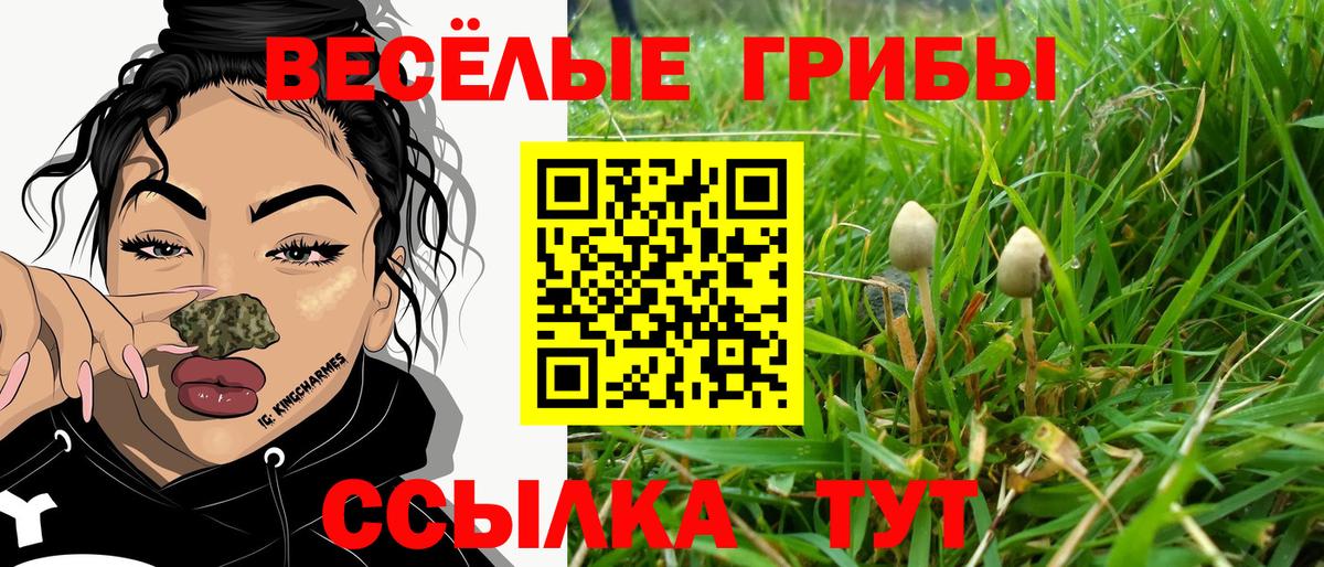 Галлюциногенные грибы Psilocybe  Псилоцибиновые грибы мицелий  Губаха  Вход с VPN 
